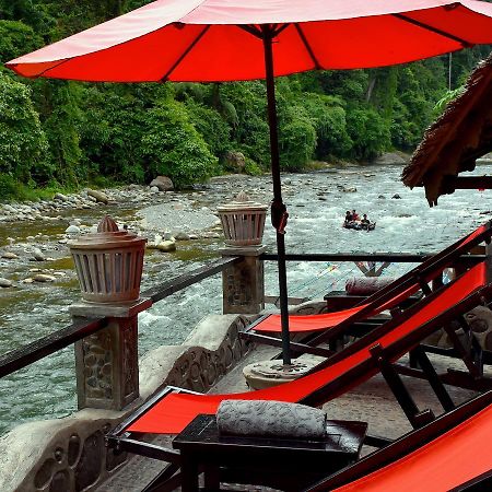 Ecotravel Cottages Bukit Lawang Εξωτερικό φωτογραφία