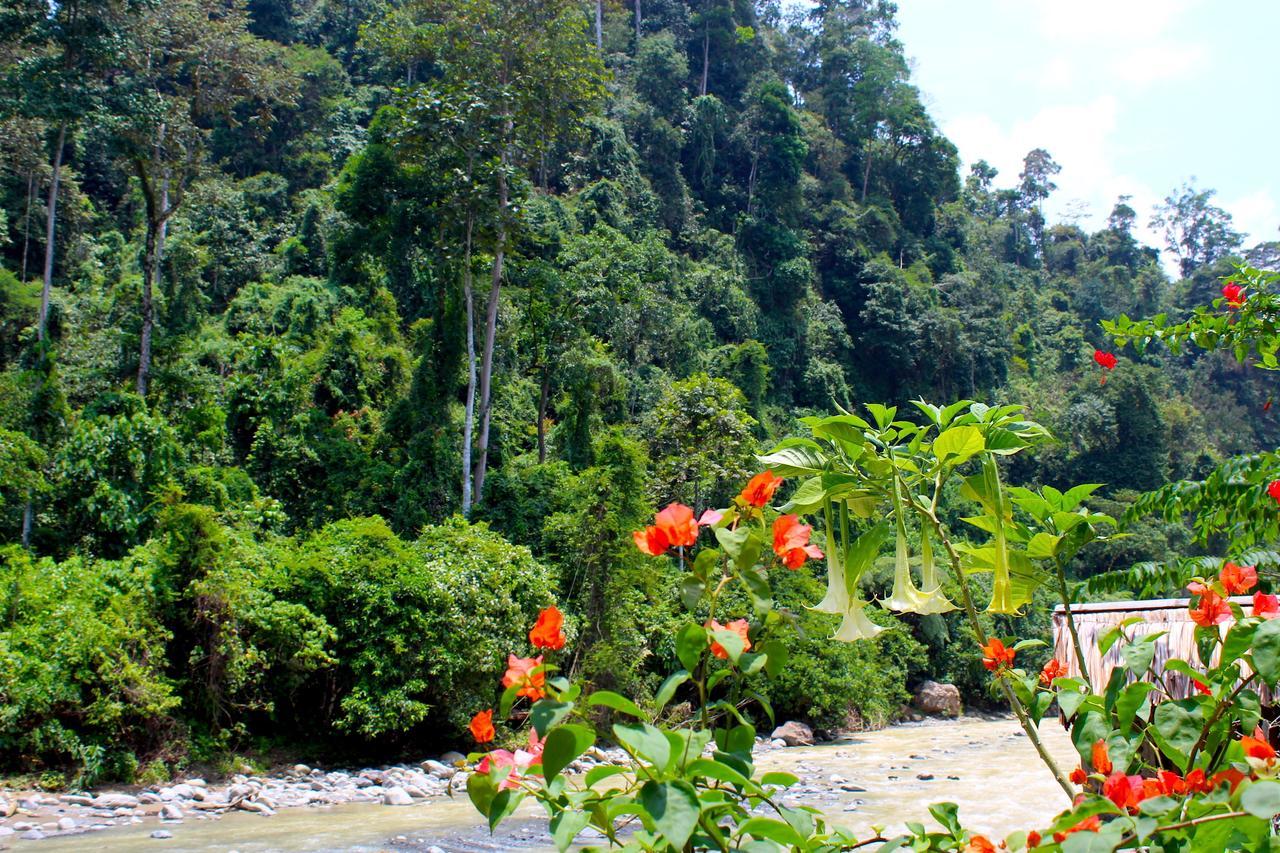 Ecotravel Cottages Bukit Lawang Εξωτερικό φωτογραφία