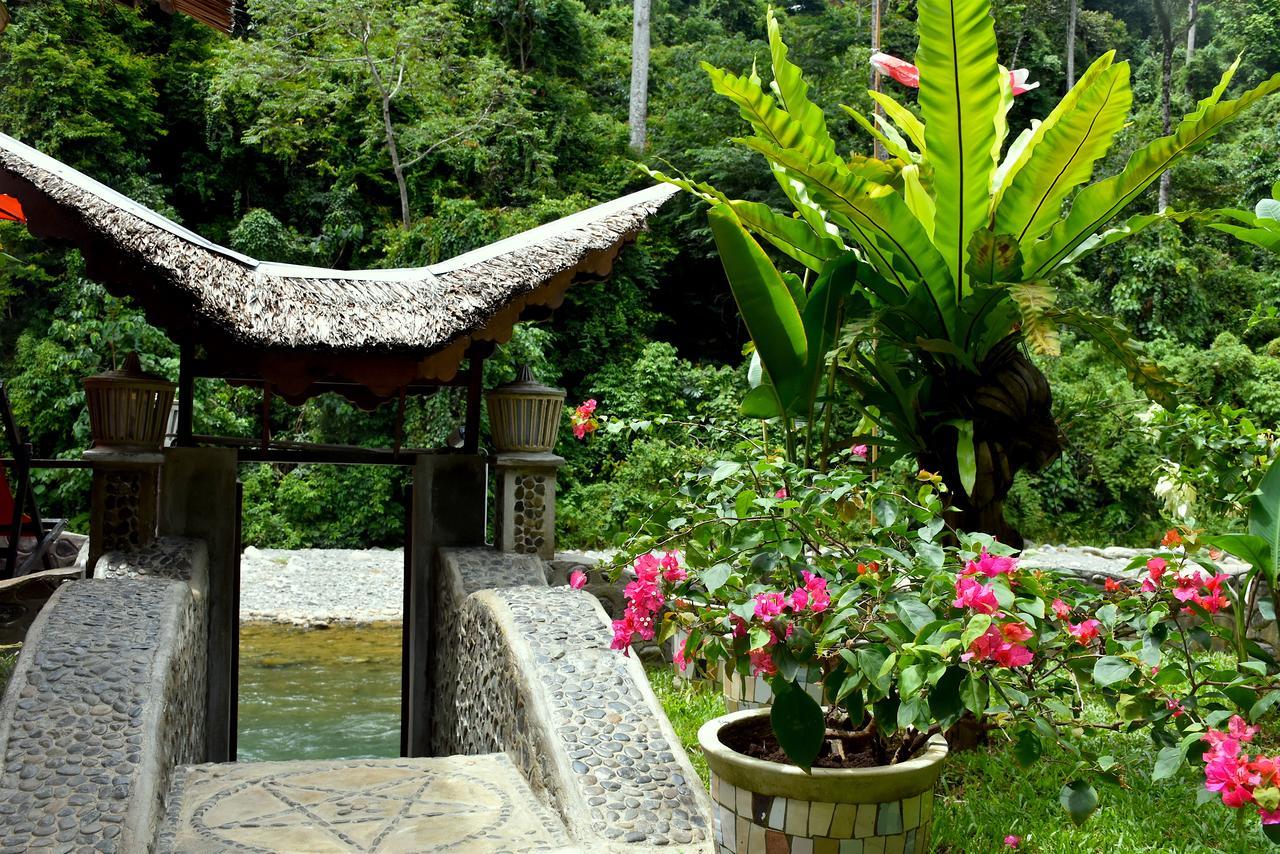 Ecotravel Cottages Bukit Lawang Εξωτερικό φωτογραφία